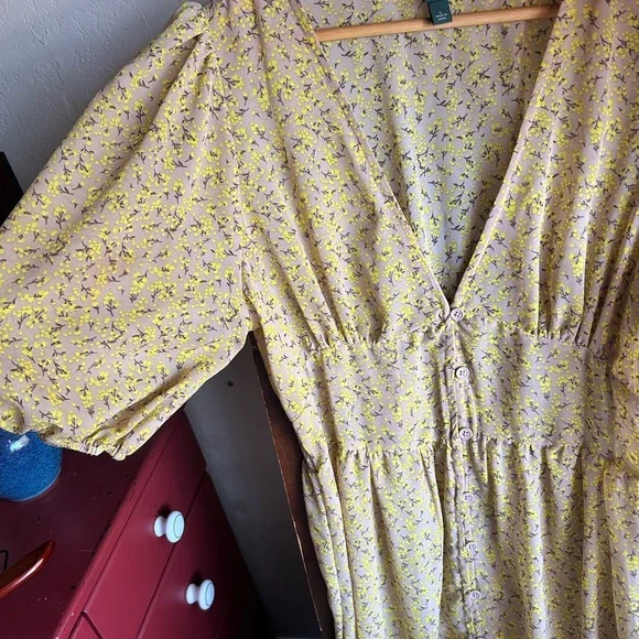 Sheer Cottage Floral Maxi Dress - Picture 4 of 8